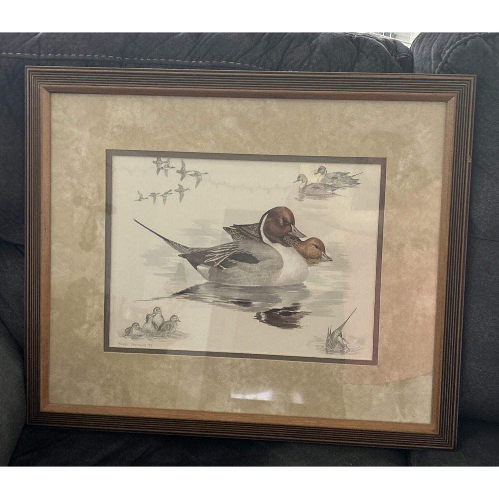 Artist, Nigel Hemming "Pintails" -'86 Lithograh Color & Charcoal Pencil, Ex Cond